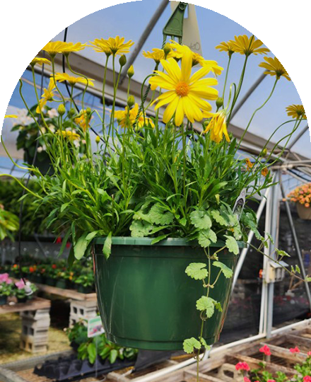 Every-Occasion-Image-04